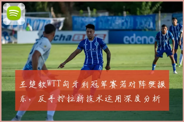 王楚钦WTT匈牙利冠军赛若对阵樊振东，反手拧拉新技术运用深度分析