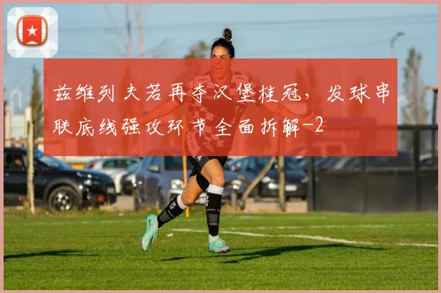 兹维列夫若再夺汉堡桂冠，发球串联底线强攻环节全面拆解